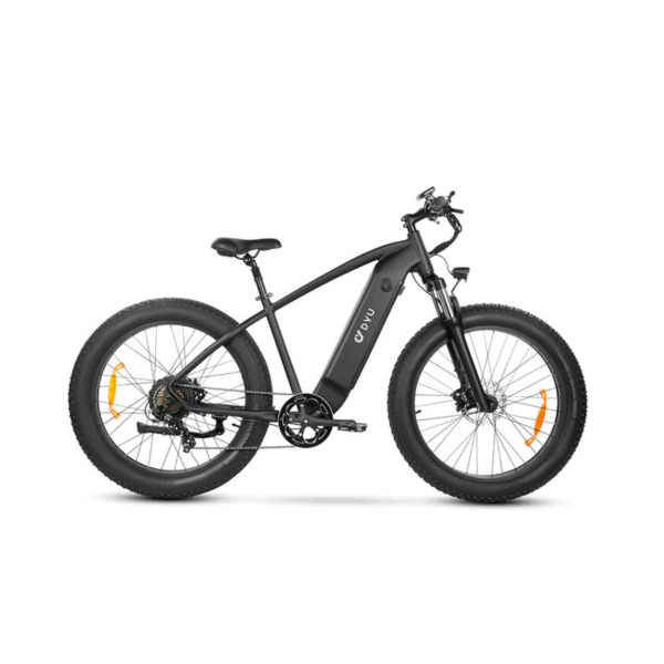 DYU King 750 Electric Bike